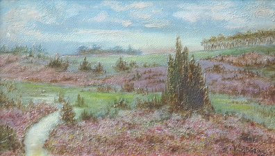 lot picture