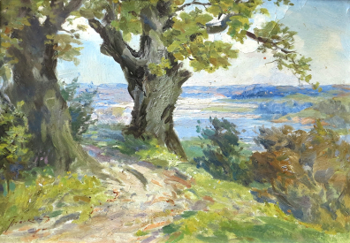 lot picture